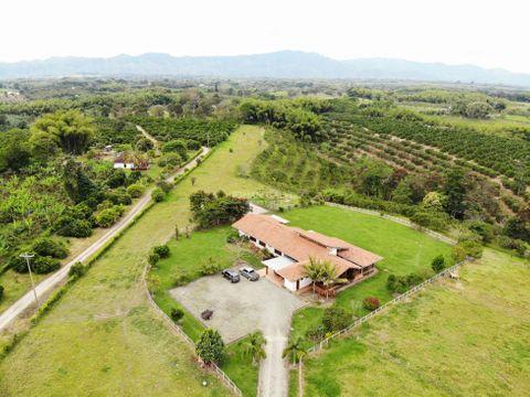 Finca — Hotel Las Camelias Armenia