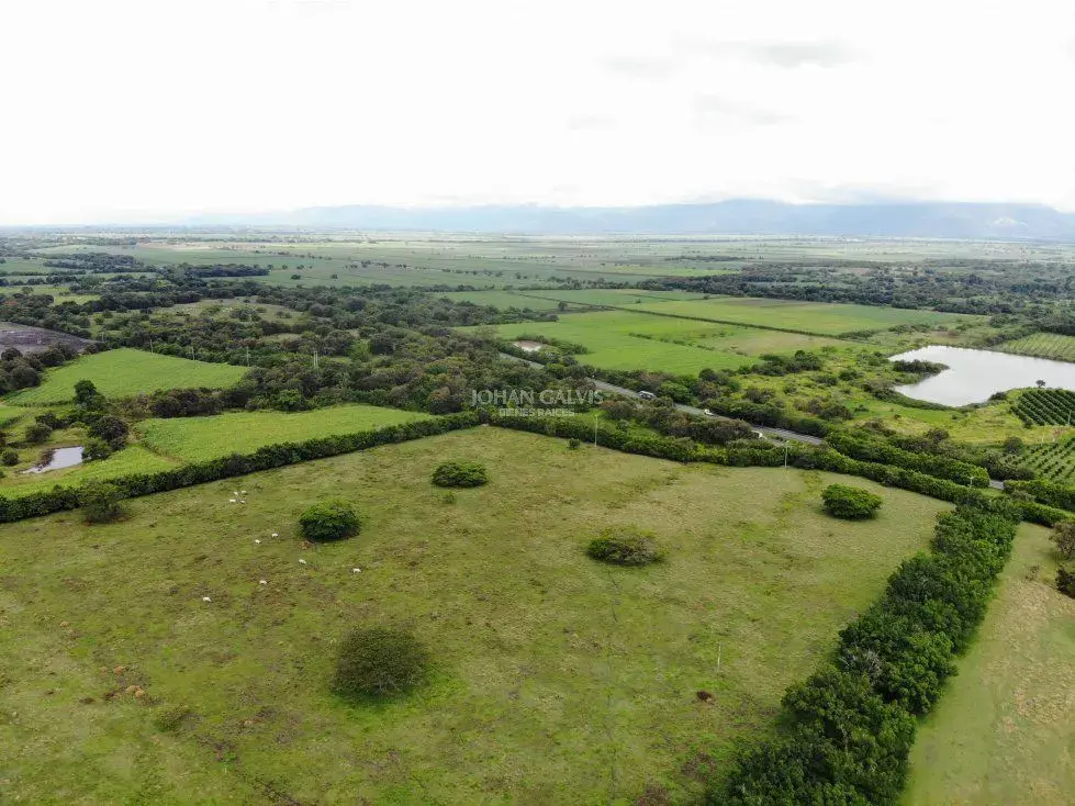 Finca de 1.411 Plazas en Zarzal Valle
