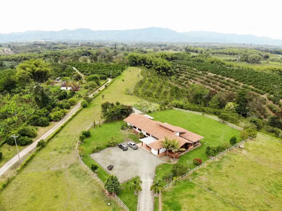 Finca de 45.000 m2 en Montenegro